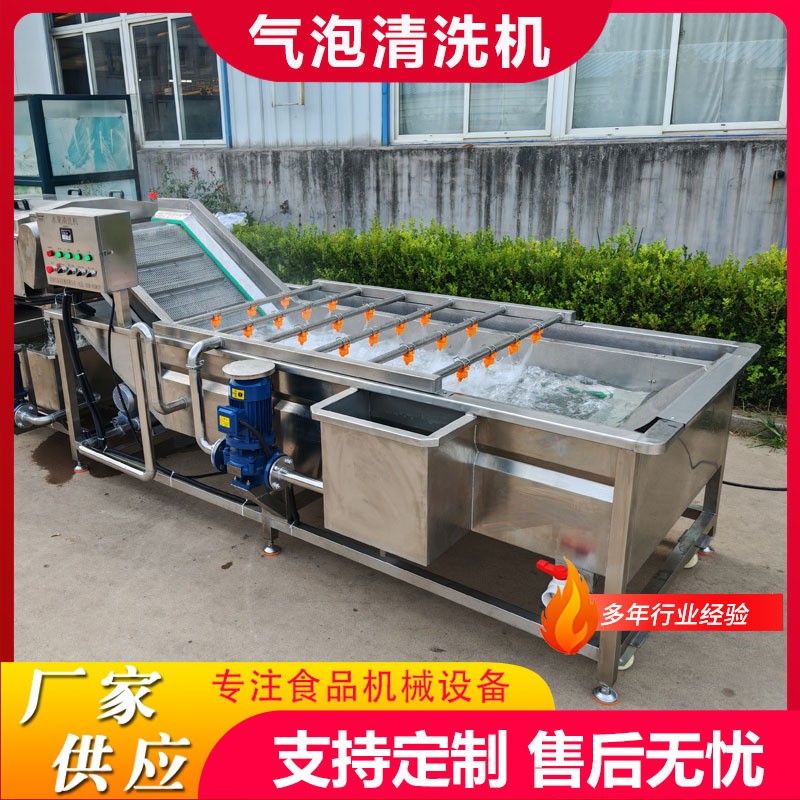 商用果蔬气泡清洗机板栗鼓泡翻浪清洗机鲜玉米去杂气泡清洗机设备图4