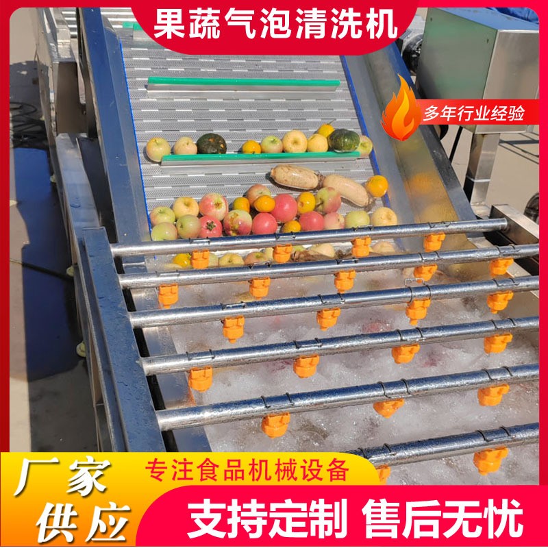 商用果蔬气泡清洗机板栗鼓泡翻浪清洗机鲜玉米去杂气泡清洗机设备图3