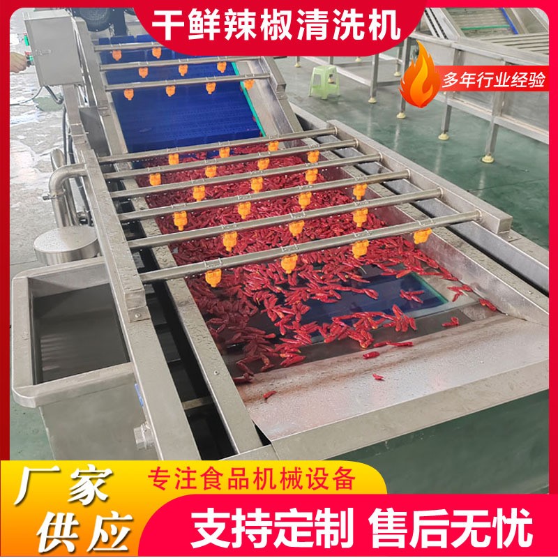 商用果蔬气泡清洗机板栗鼓泡翻浪清洗机鲜玉米去杂气泡清洗机设备图2