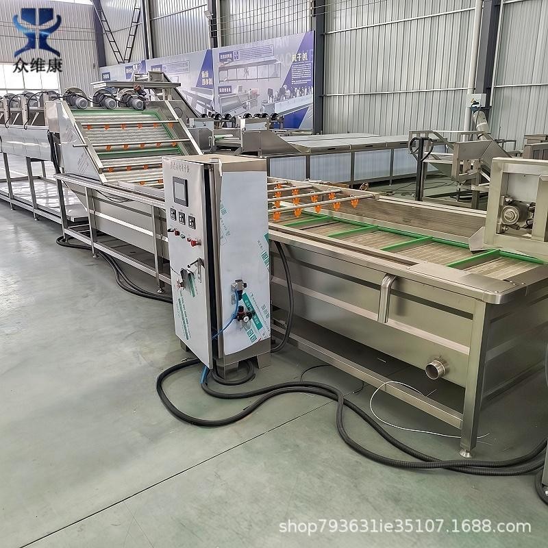 商用果蔬气泡清洗机大型辣椒清洗流水线全自动圣女果砂糖橘洗果机图4