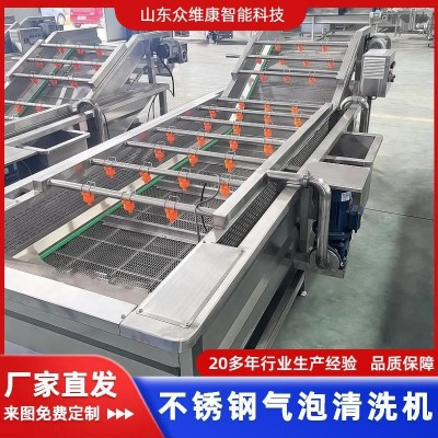 商用果蔬气泡清洗机大型辣椒清洗流水线全自动圣女果砂糖橘洗果机