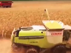 让农机专家点赞的玉米脱粒机，究竟有多厉害？它的效率有多高？