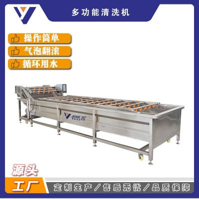 铁皮石斛清洗机 大型中草药加工流水线 全自动黄芪清洗机