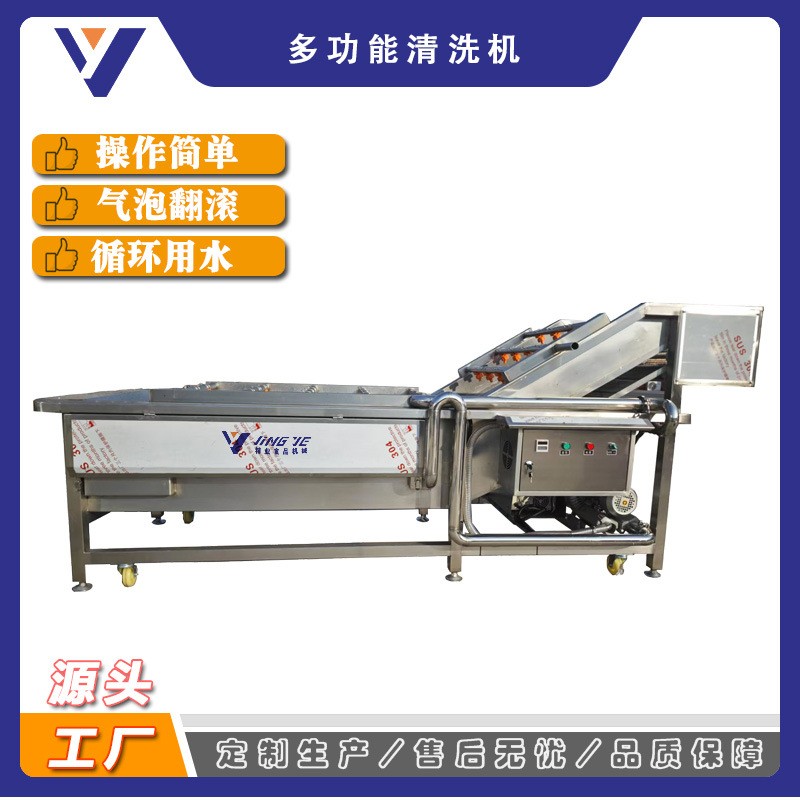 铁皮石斛清洗机 大型中草药加工流水线 全自动黄芪清洗机图2