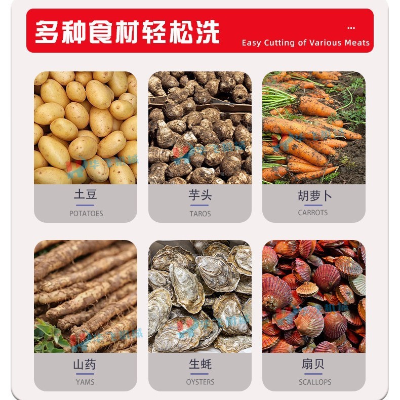 商用毛辊清洗去皮机土豆红薯生姜萝卜生蚝清洗去皮根茎去泥沙设备图3