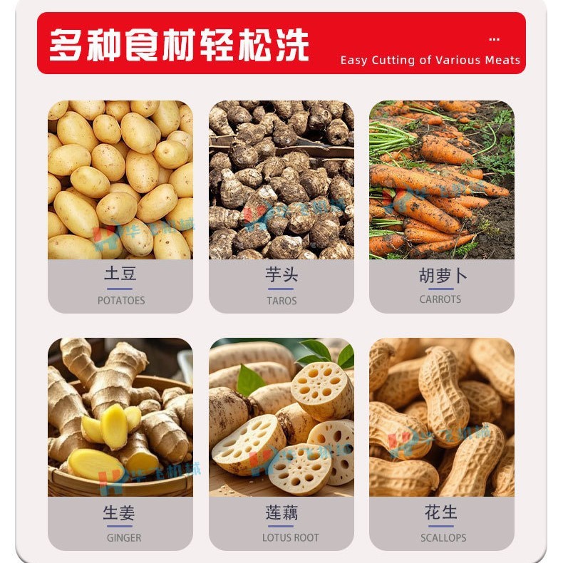全自动平行毛辊清洗机土豆山药红薯生姜清洗去皮机高压喷淋清洗机图4
