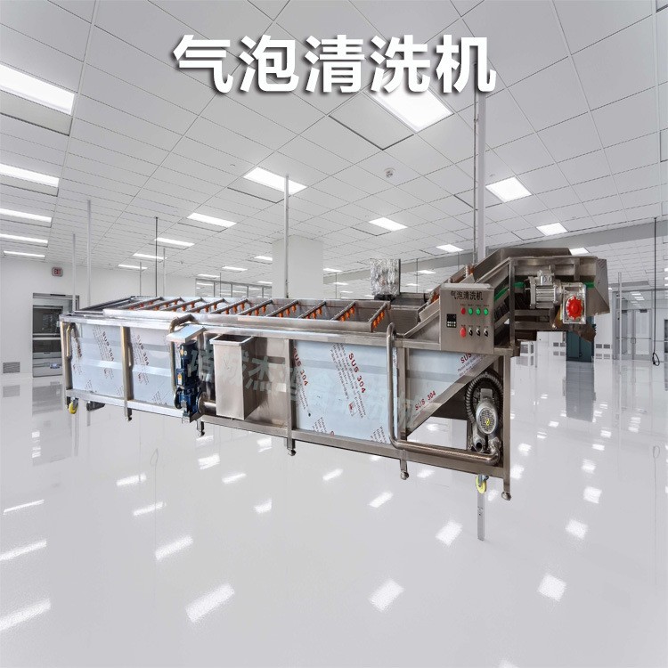 全自动气泡清洗机蔬菜水果清洗设备 食物洗菜池冲浪式清洗机图2