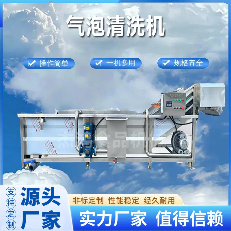 全自动气泡清洗机蔬菜水果清洗设备 食物洗菜池冲浪式清洗机图3