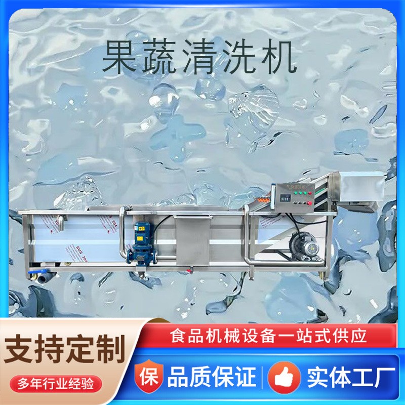 全自动气泡清洗机蔬菜水果清洗设备 食物洗菜池冲浪式清洗机图4