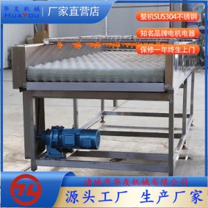平行式地瓜清洗设备 商用芋头紫薯去皮清洗机 平行毛辊清洗机器图2
