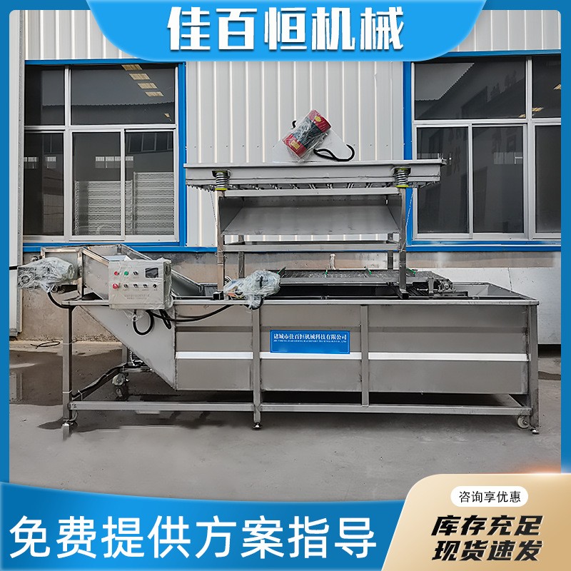 全自动果蔬气泡清洗机商用蔬菜洗菜机海参水果清洗风干流水线图2