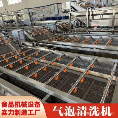 果蔬清洗机 蔬菜生鲜两用清洗设备 高效节能 气泡清洗流水线