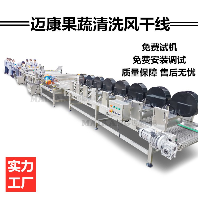 山楂清洗风干设备 冬枣清洗流水线 红枣清洗蒸煮机图2