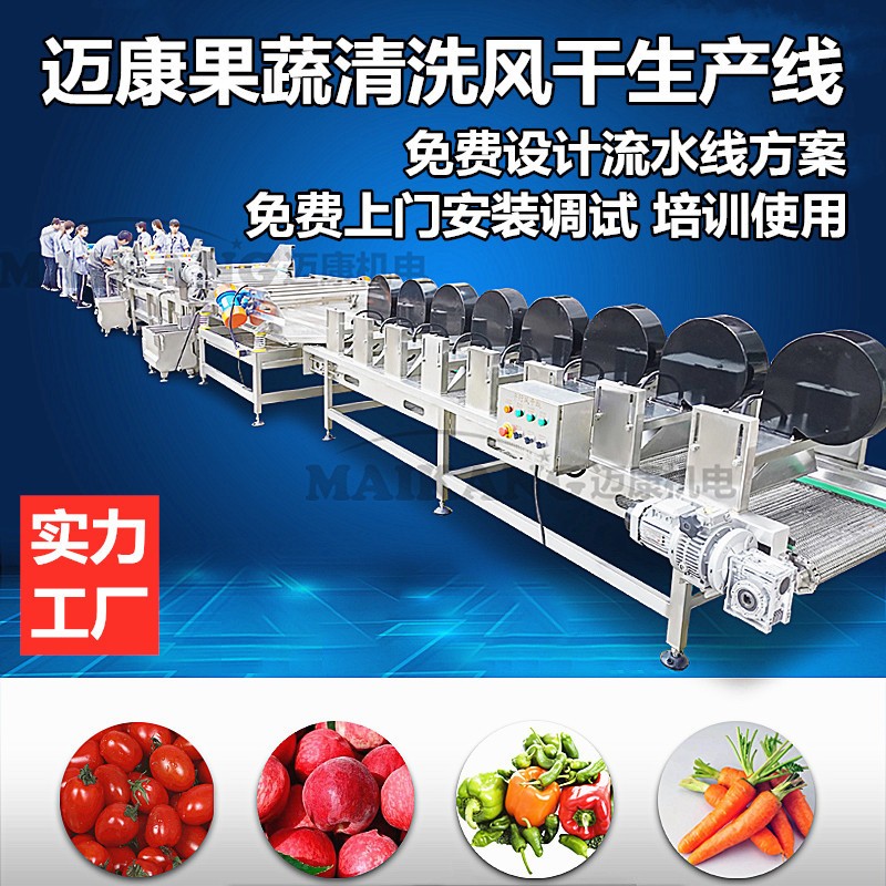 山楂清洗风干设备 冬枣清洗流水线 红枣清洗蒸煮机图3