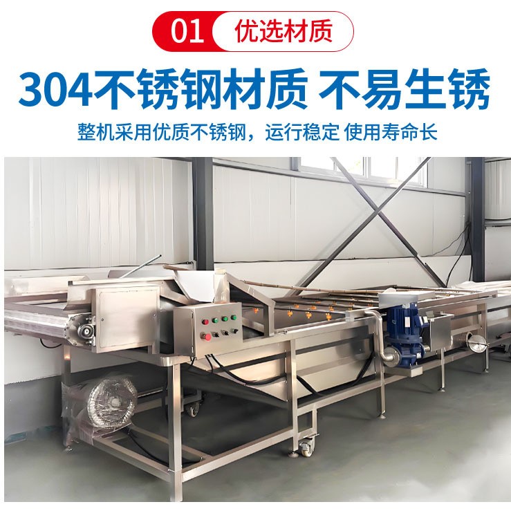 喷淋式果蔬气泡清洗机 菠菜娃娃菜苹果清洗设备 中央厨房洗菜机图3