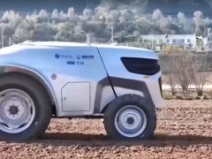 水稻田里新农机带来秧苗栽种新效率