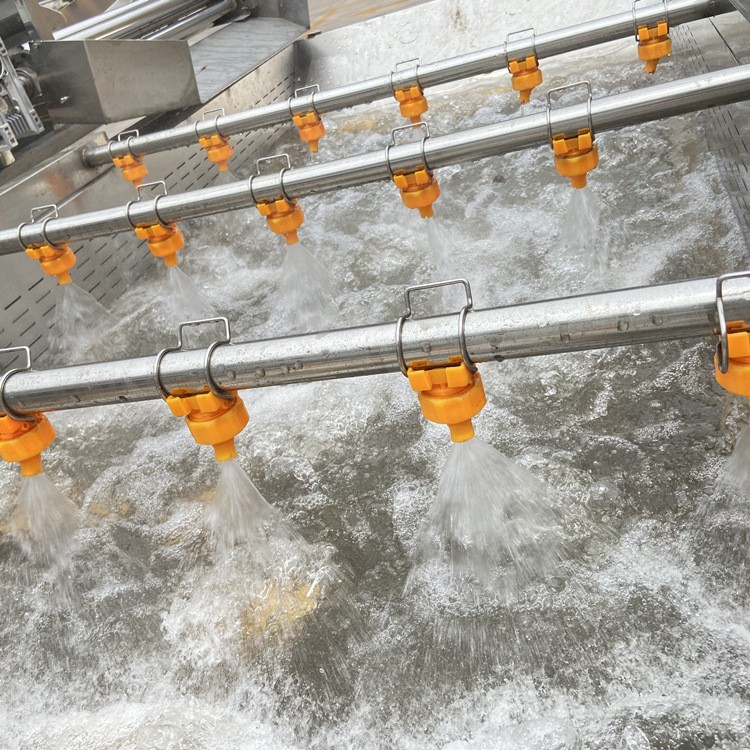 果蔬气泡清洗机商用萝卜土豆去泥设备大枣菠菜喷淋清洗设备可跨境图2