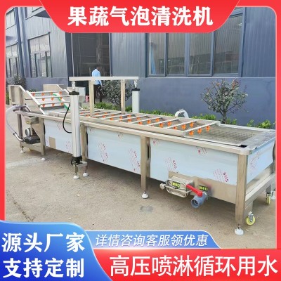 芹菜大葱气泡清洗枇杷杨梅鼓浪式清洗机黄芪人参去泥沙清洗设备