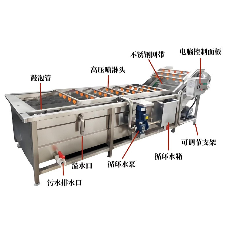 全自动果蔬气泡清洗机 商用多功能海蛎子清洗机 中药材鼓泡清洗机图5