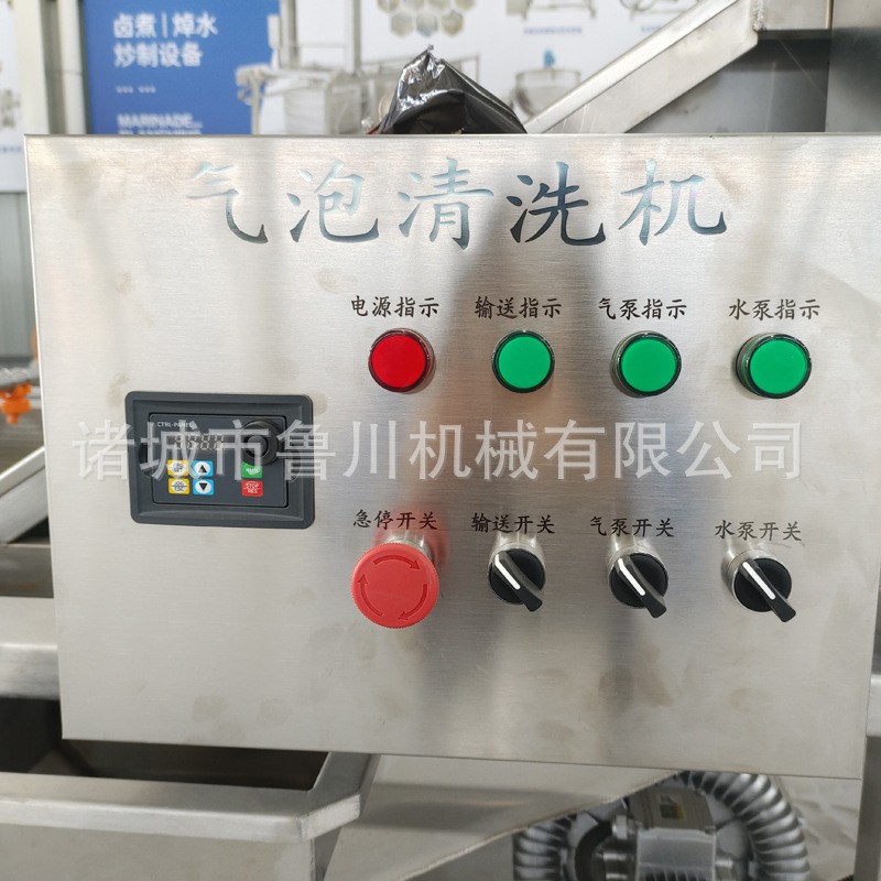 全自动果蔬气泡清洗机 商用多功能海蛎子清洗机 中药材鼓泡清洗机图3