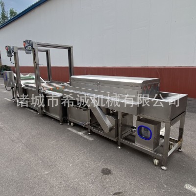 芒果毛桃橙子气泡清洗机 蓝莓荔枝清洗风干设备 多功能果蔬清洗机