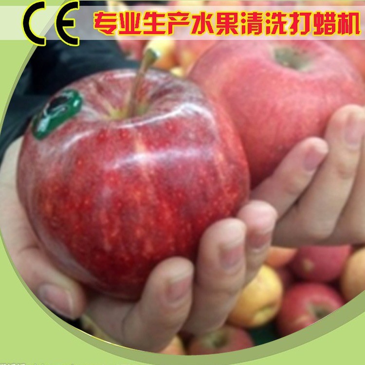 富士 水果清洗打蜡分选机 砂橘火龙果重量分拣机 运行高效 源头厂图3