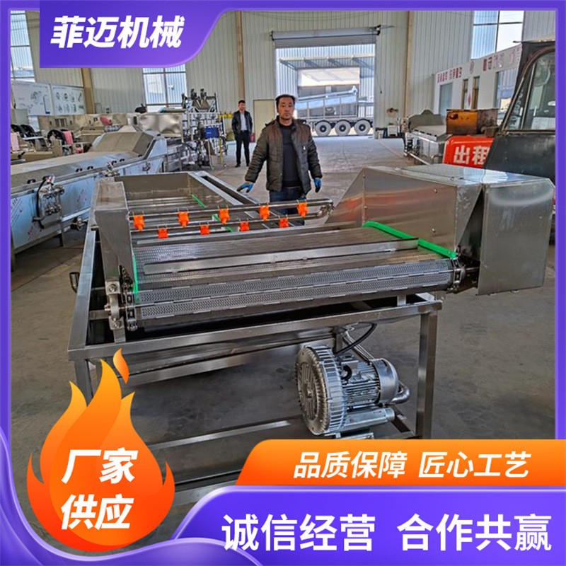 多功能气泡清洗机全自动油菜白菜清洗机连续式食堂洗菜机图4