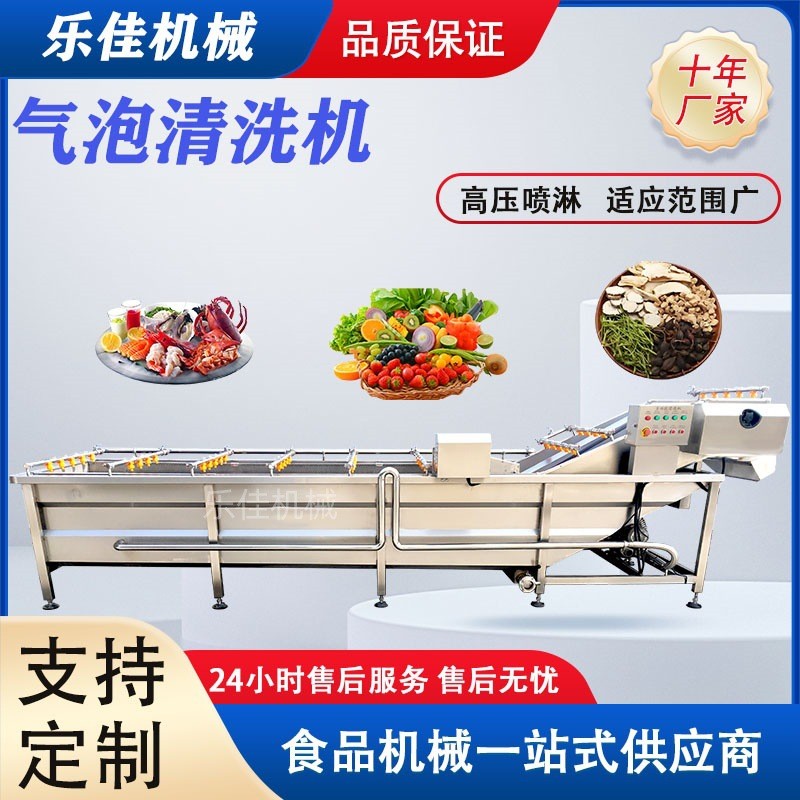 中草药清洗机 党参太子参去泥清洗设备 高压喷淋黄芪清洗流水线图2