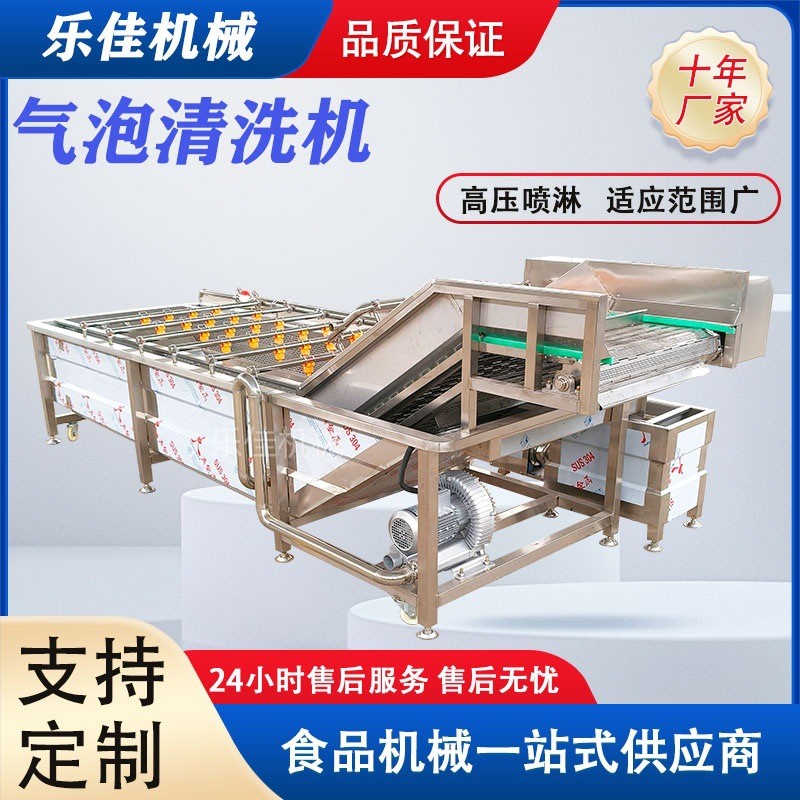中草药清洗机 党参太子参去泥清洗设备 高压喷淋黄芪清洗流水线图3