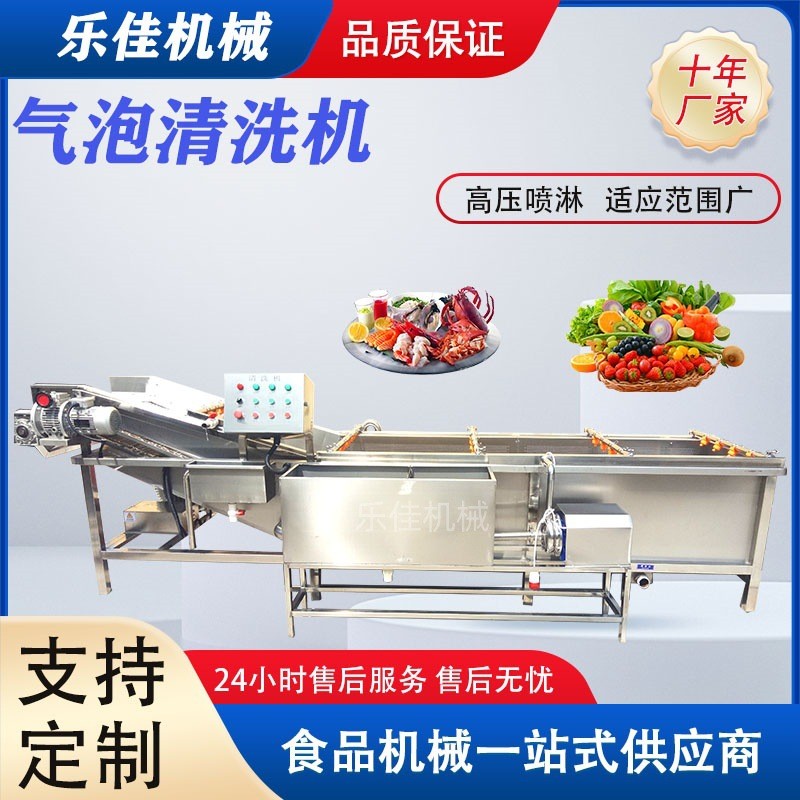 中草药清洗机 党参太子参去泥清洗设备 高压喷淋黄芪清洗流水线图4