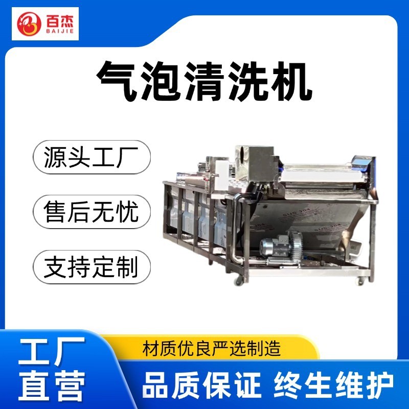果蔬气泡清洗机小龙虾清洗设备葡萄干瓜果气泡清洗机厂家直销图2