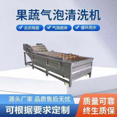 商用蔬菜气泡清洗机 辣椒气泡清洗机 山野菜蒲公英喷淋清洗设备