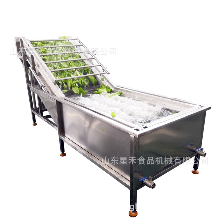 工厂直销油麦菜白菜蔬菜气泡清洗机大葱清洗带喷嘴带毛刷批发优惠图5