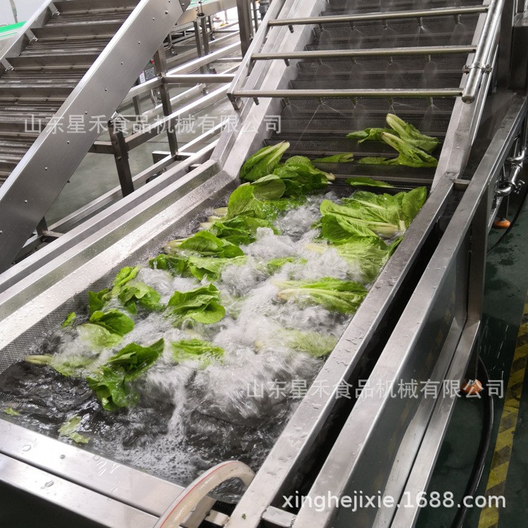 工厂直销草莓气泡清洗机车厘子带喷嘴带毛刷批发优惠图2