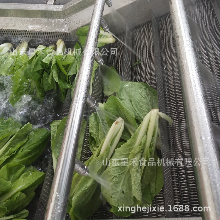 工厂直销草莓气泡清洗机车厘子带喷嘴带毛刷批发优惠图3