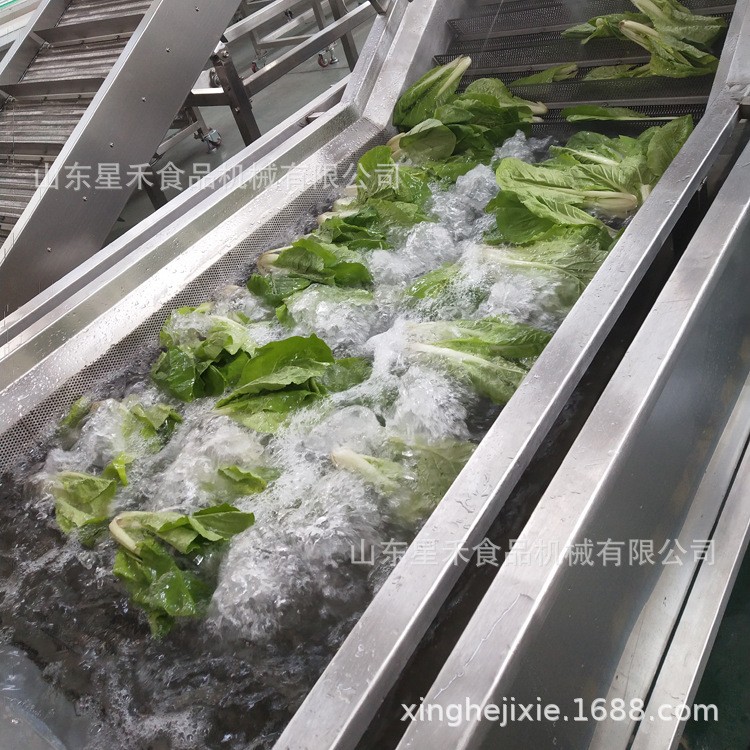 工厂直销草莓气泡清洗机车厘子带喷嘴带毛刷批发优惠图4