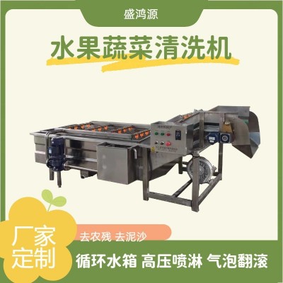 商用水果酱菜菠菜气泡清洗机 全自动节能省水中药材大枣清洗机