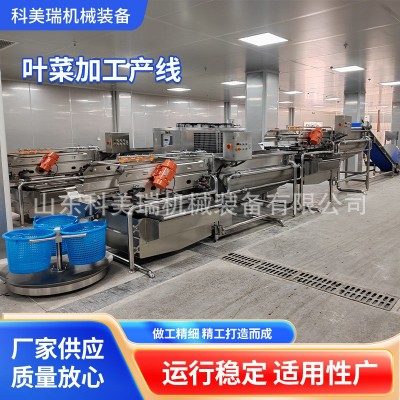 叶菜加工产线 大型净菜加工厨房机械根茎/鲜切菜二合一清洗线