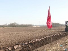 农业机械化为春耕生产“提速”