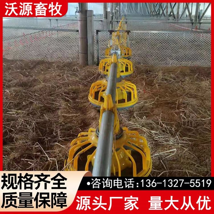 自动料线 养鸡场喂料线 平养鸡料线 自动化养鸡设备 沃源图4