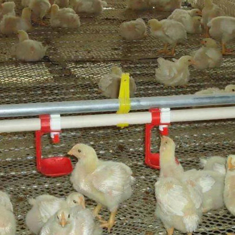 养鸡自动料线 自动喂料喂水设备 鸡水线料线 厂家供应鸡料线水线图5