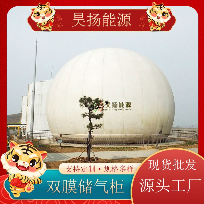 养殖场家用户外沼气气柜 双膜储气柜 储存发酵大型全套设备图4