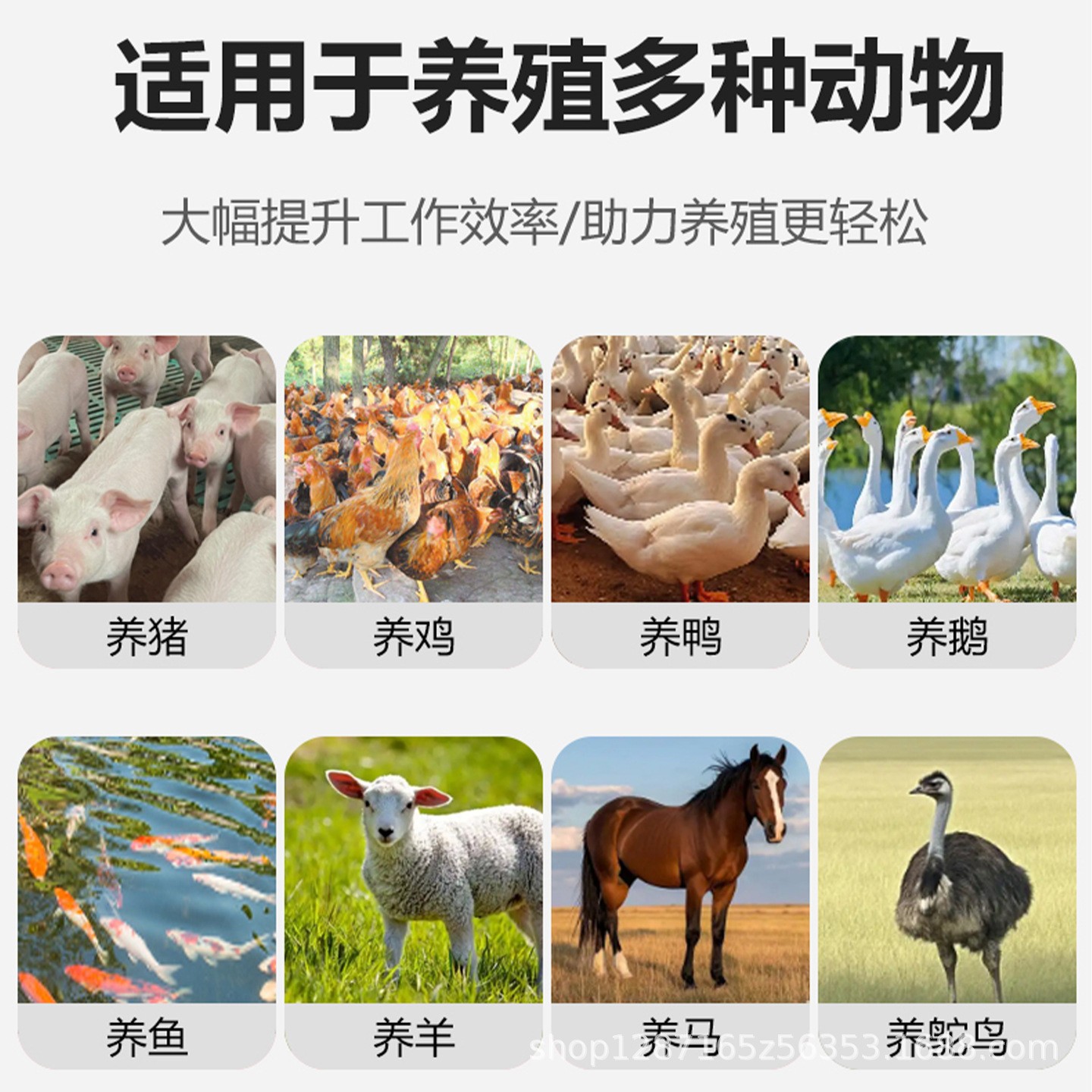 多功能粉碎机家用小型打包草粉碎机猪鸡鸭鹅谷物破碎机饲料粉碎机图3