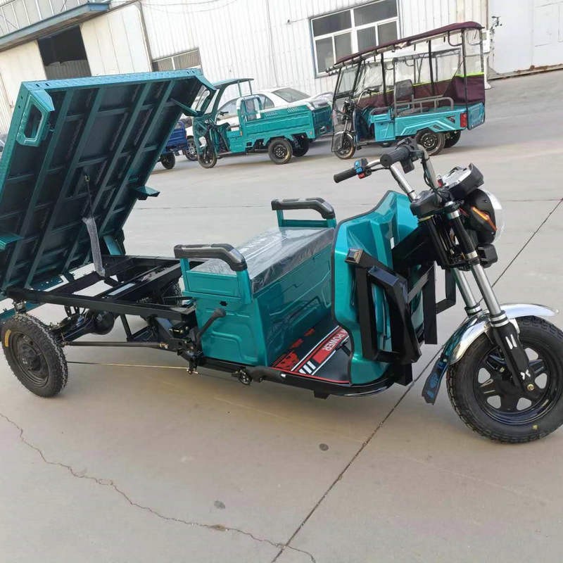 批发家用载人电动拉货三轮车 平板搬运客货两用摆地摊小型电瓶车图3