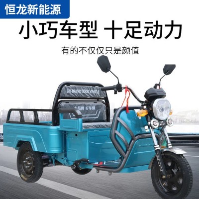 新款小型电动三轮车家用拉货农用载货三轮国标可上牌货运小平板车