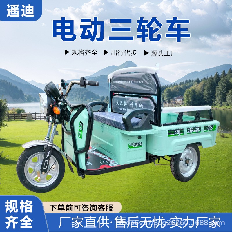 新国标电动三轮车载重王成人拉货三轮快递车新款家用电瓶车农用车图3