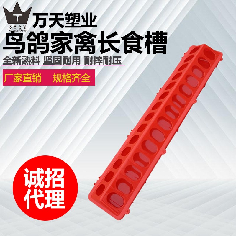 AA-4鸽长槽鸽子食槽鸽具防甩料鸽子食盒养鸽子用品量大从优 5台图5