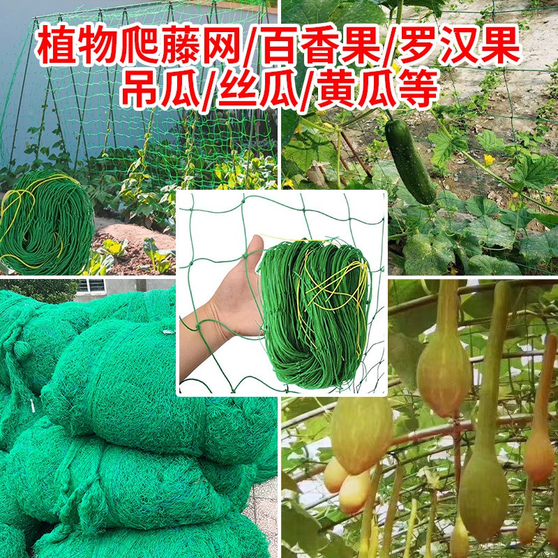 跨境养殖网养鸡网防鸟网爬藤网捕鱼网护栏网尼龙渔网出口代发 10套图5