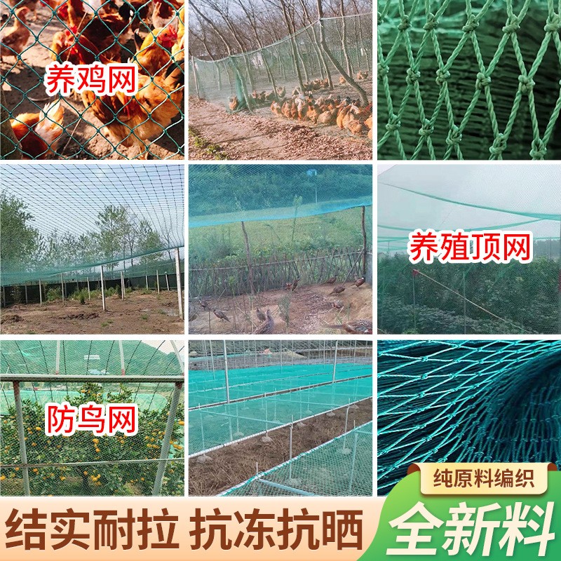 跨境养殖网养鸡网防鸟网爬藤网捕鱼网护栏网尼龙渔网出口代发 10套图3
