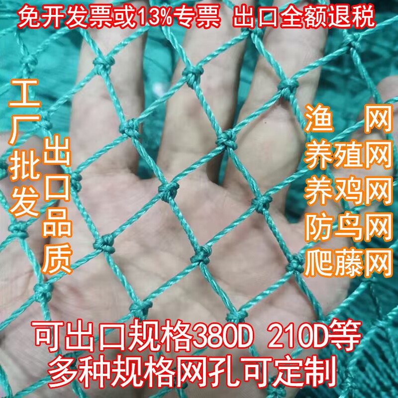 渔网养殖网鸡网捕鱼网围边网护栏网尼龙网防鸟网天顶网爬藤网渔网 50平方米图5